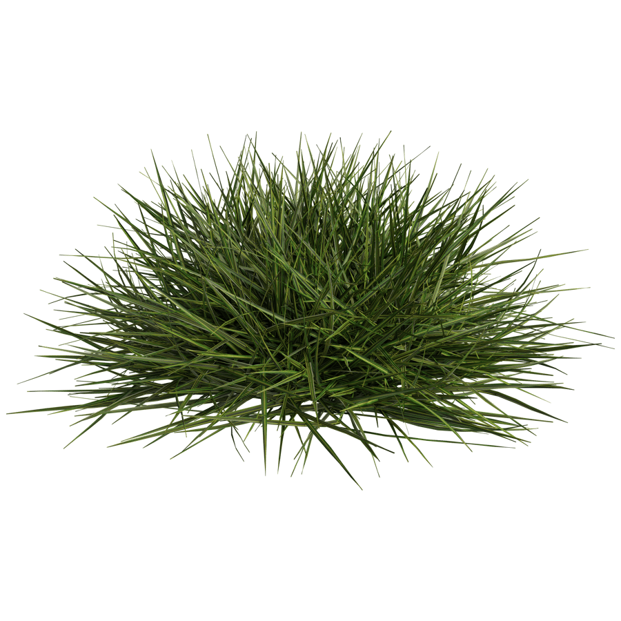Ground Cover 3D Model - A23D