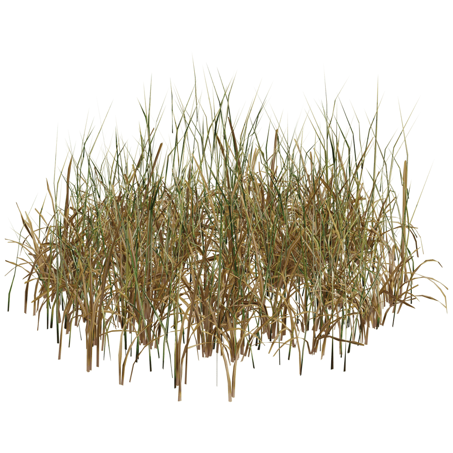 Ground Cover 3D Model - A23D