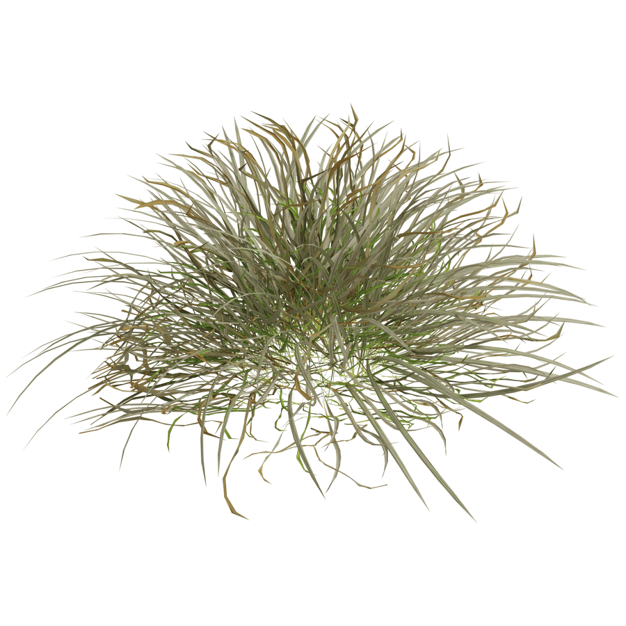 Ground Cover 3D Model - A23D