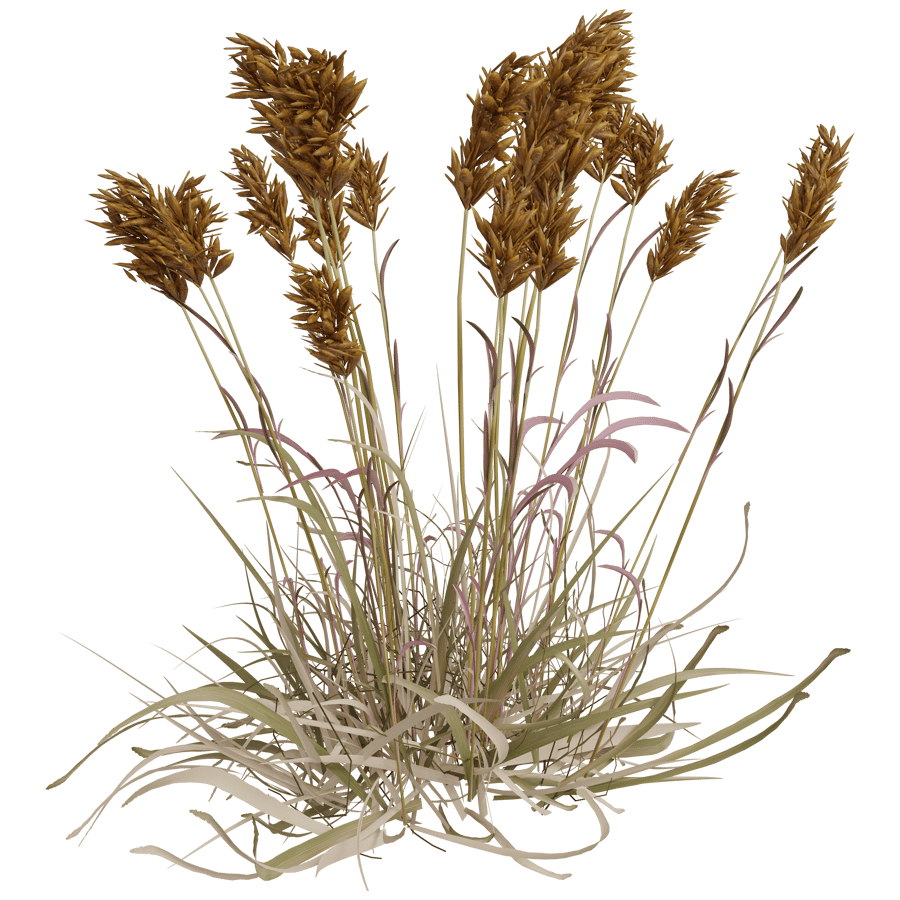 Ground Cover 3D Model - A23D