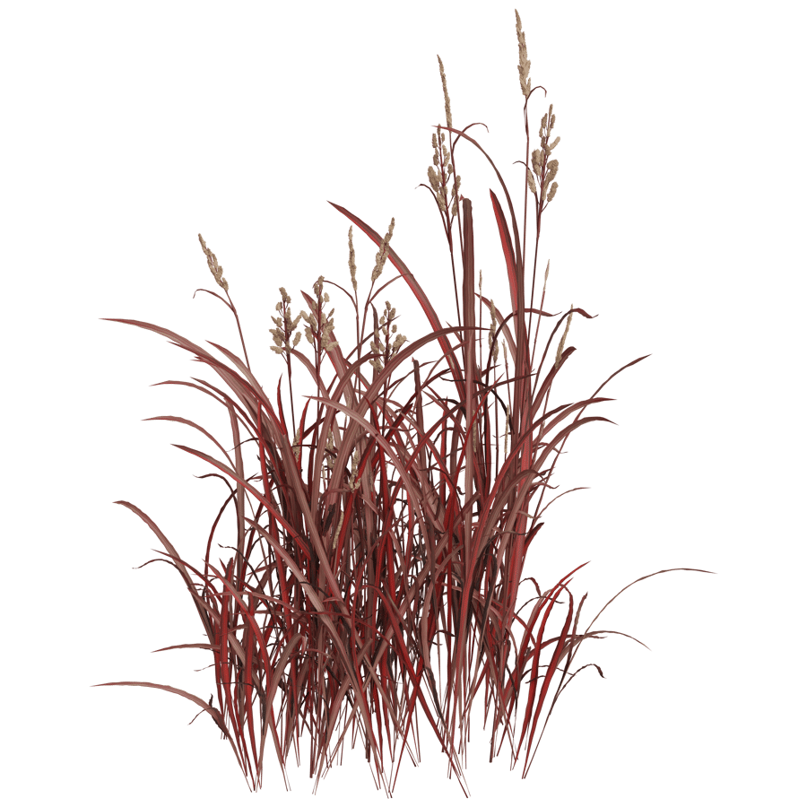 Ground Cover 3D Model - A23D