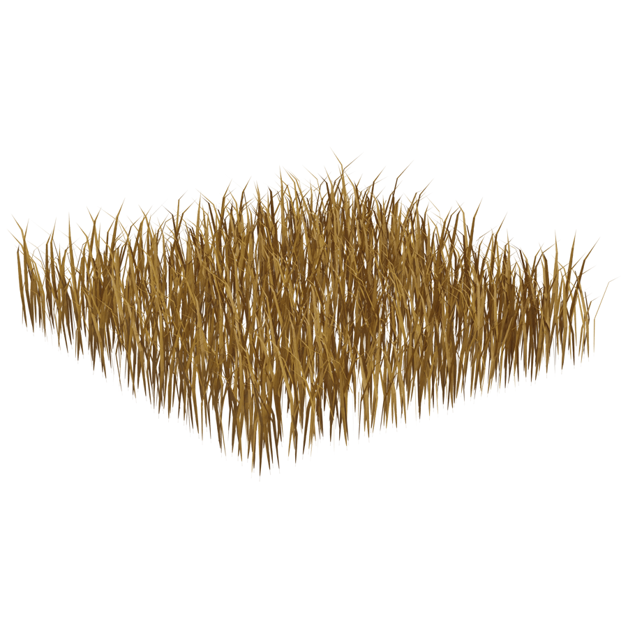 Ground Cover 3D Model - A23D