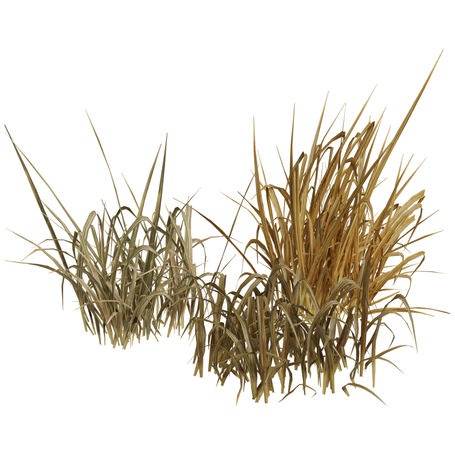 Ground Cover 3D Model - A23D