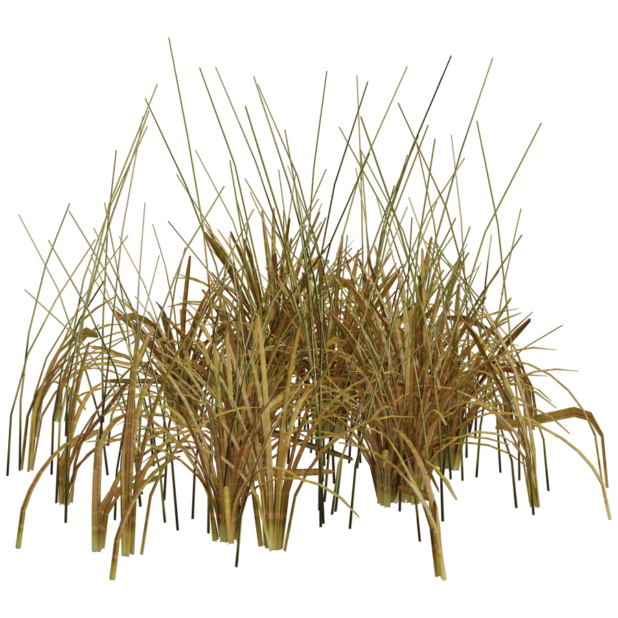 Ground Cover 3D Model - A23D