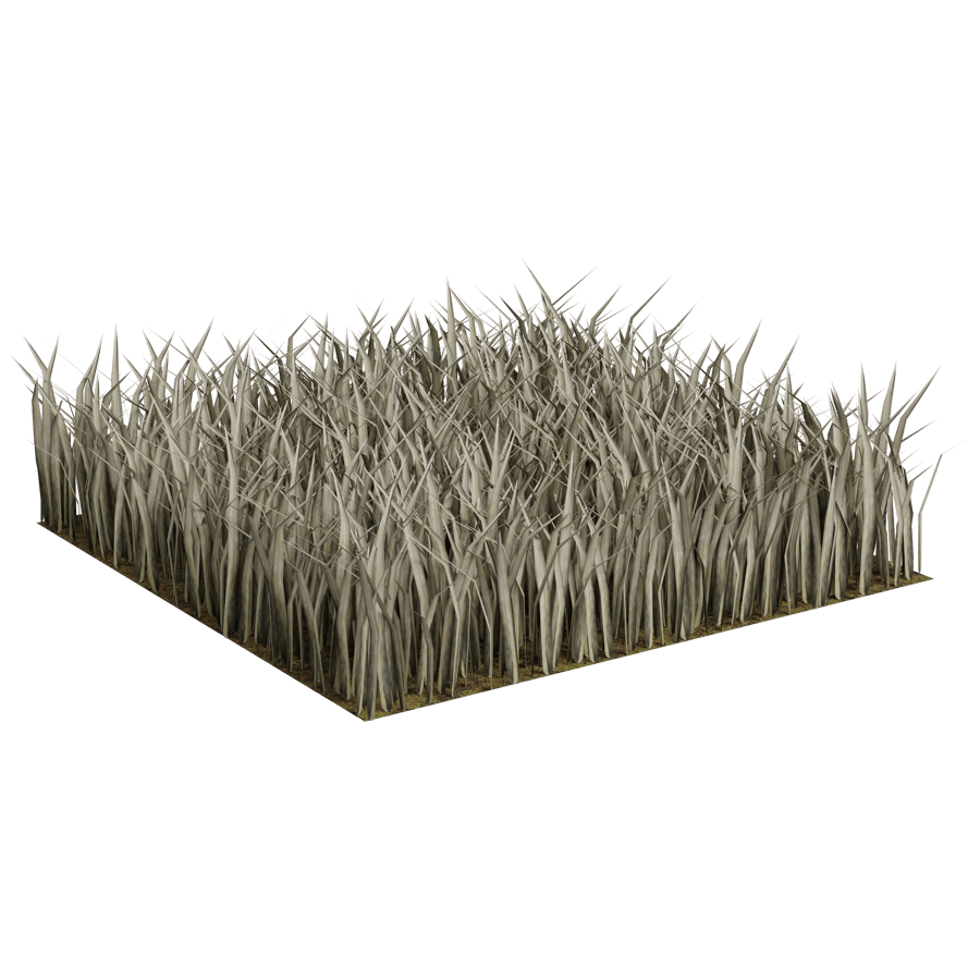 Ground Cover 3D Model - A23D