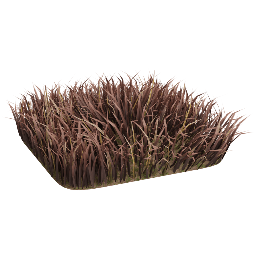 Ground Cover 3D Model - A23D