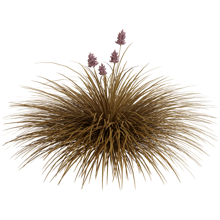 Ground Cover 3D Model - A23D