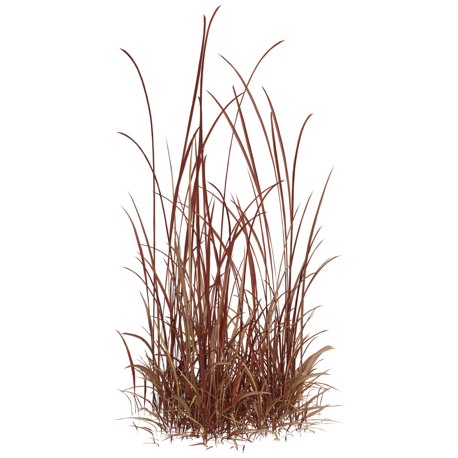 Ground Cover 3D Model - A23D