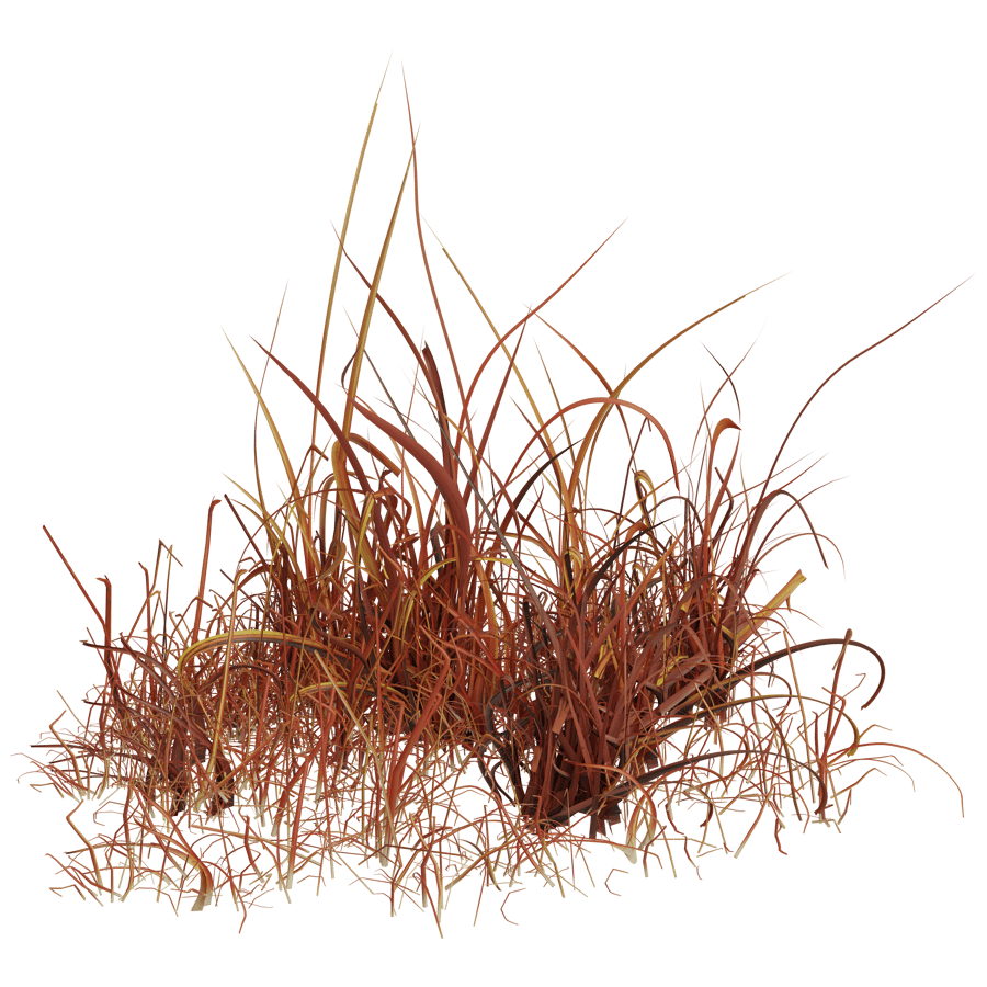Ground Cover 3D Model - A23D
