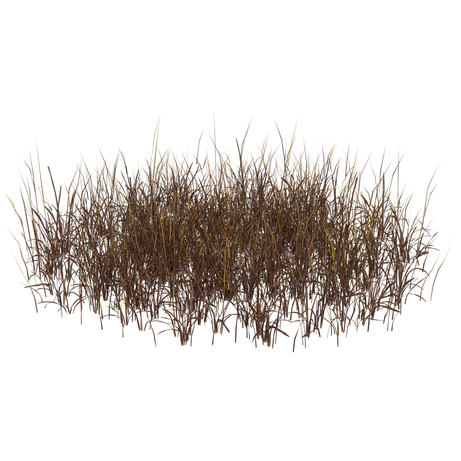 Ground Cover 3D Model - A23D