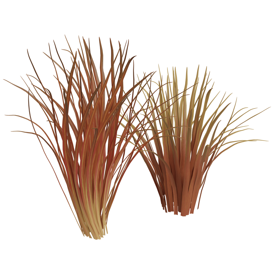Ground Cover 3D Model - A23D