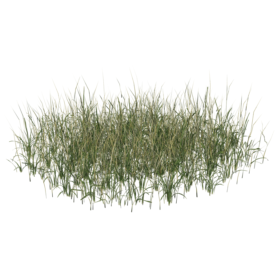 Ground Cover 3D Model - A23D