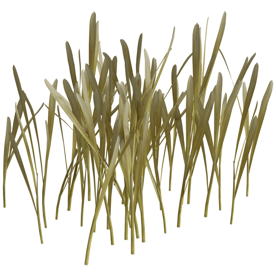 Ground Cover 3D Model - A23D