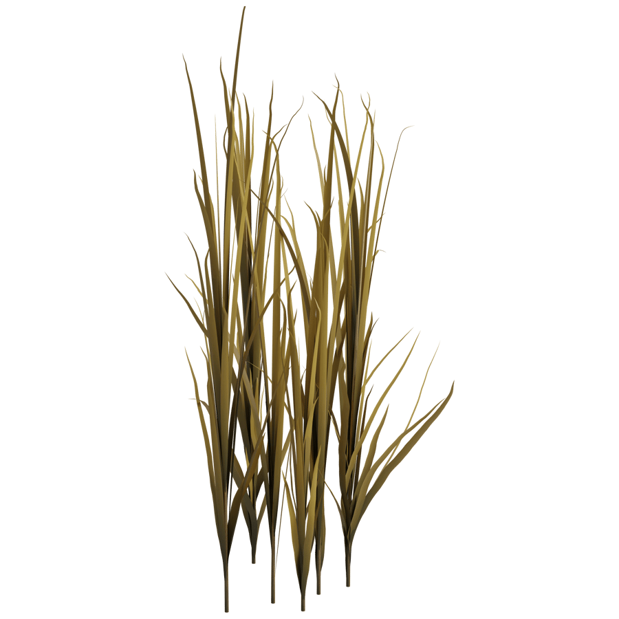 Ground Cover 3D Model - A23D
