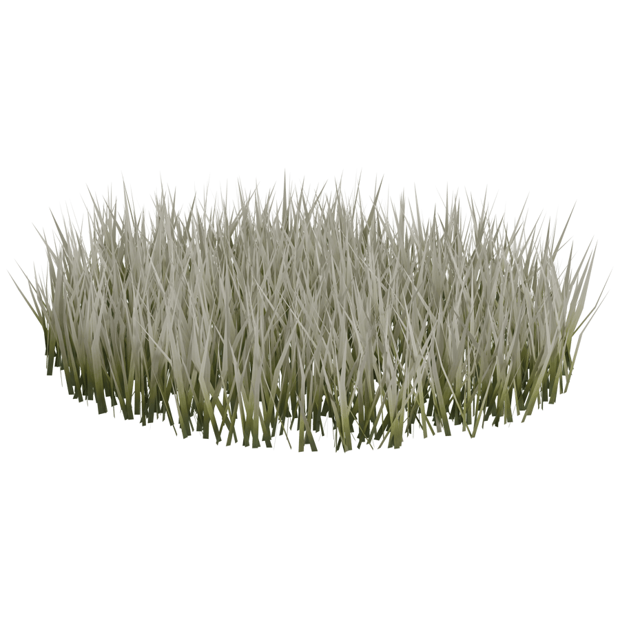 Ground Cover 3D Model - A23D