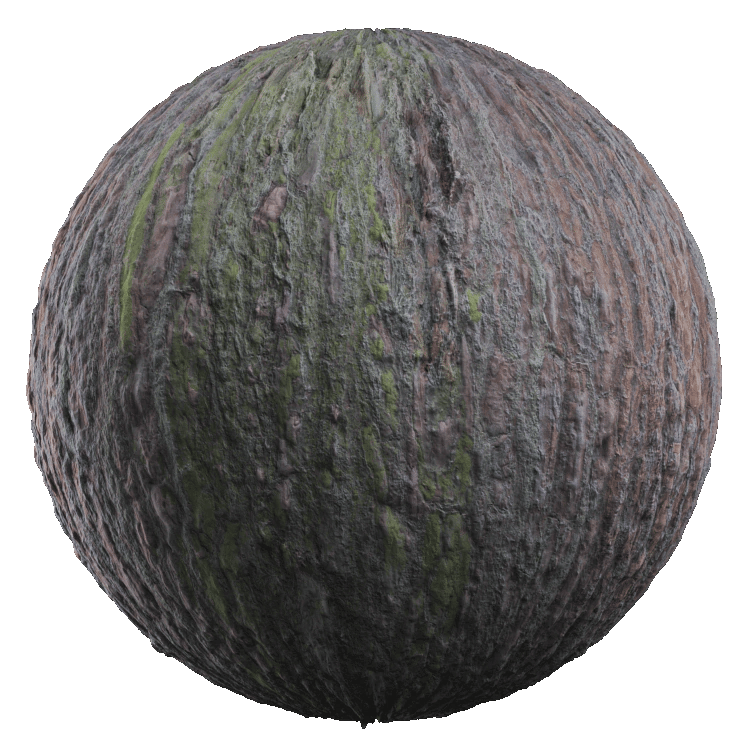 Tree Bark PBR Texture - A23D