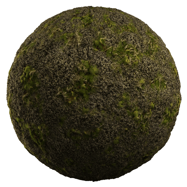 Moss Grass PBR Texture - A23D