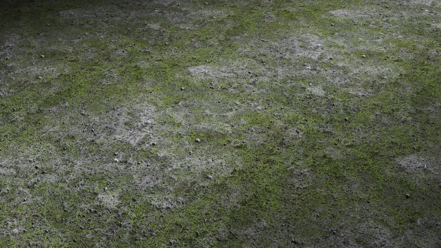 Forest Ground PBR Texture - A23D