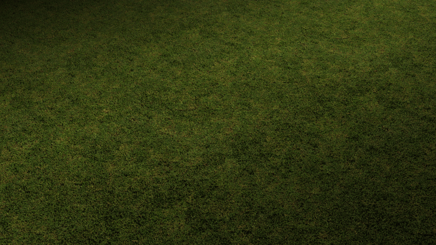 Lawn Grass PBR Texture - A23D