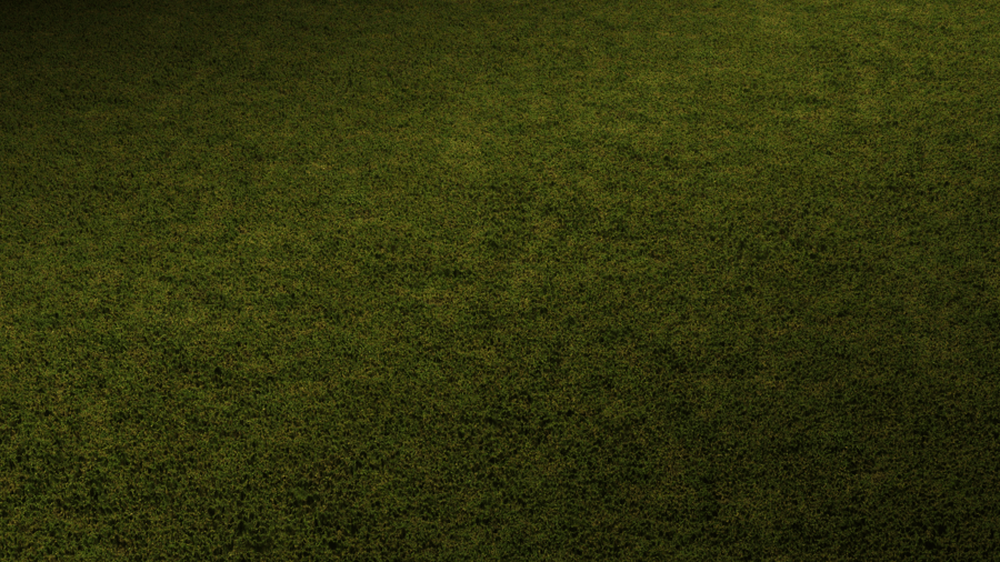Lawn Grass PBR Texture - A23D