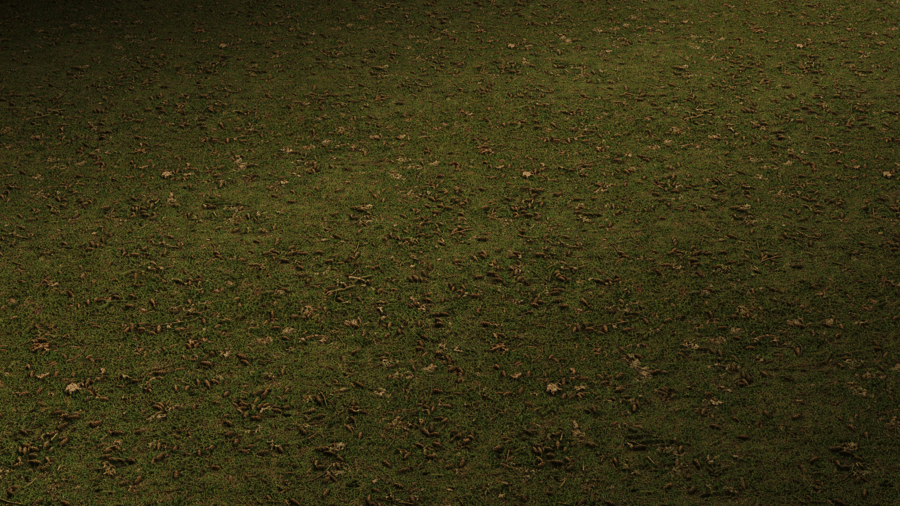 Lawn Grass PBR Texture - A23D