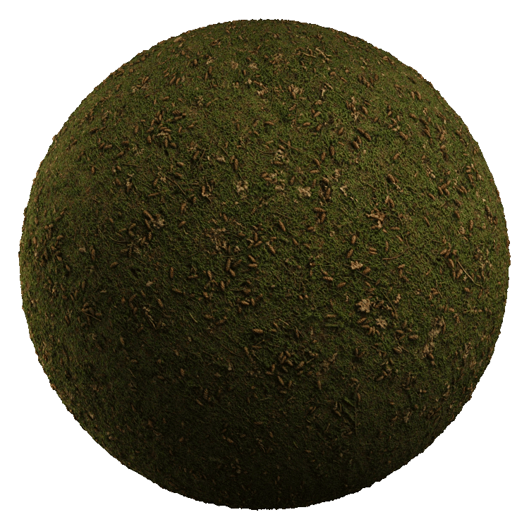 Lawn Grass PBR Texture - A23D