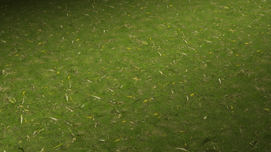 Lawn Grass PBR Texture - A23D