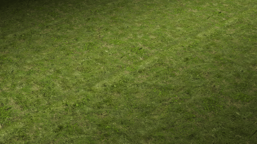 Lawn Grass PBR Texture - A23D