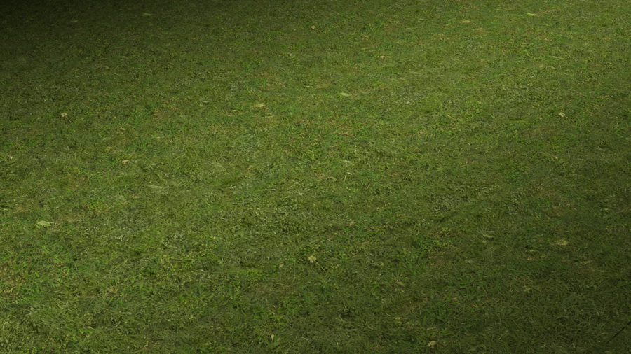 Lawn Grass PBR Texture - A23D