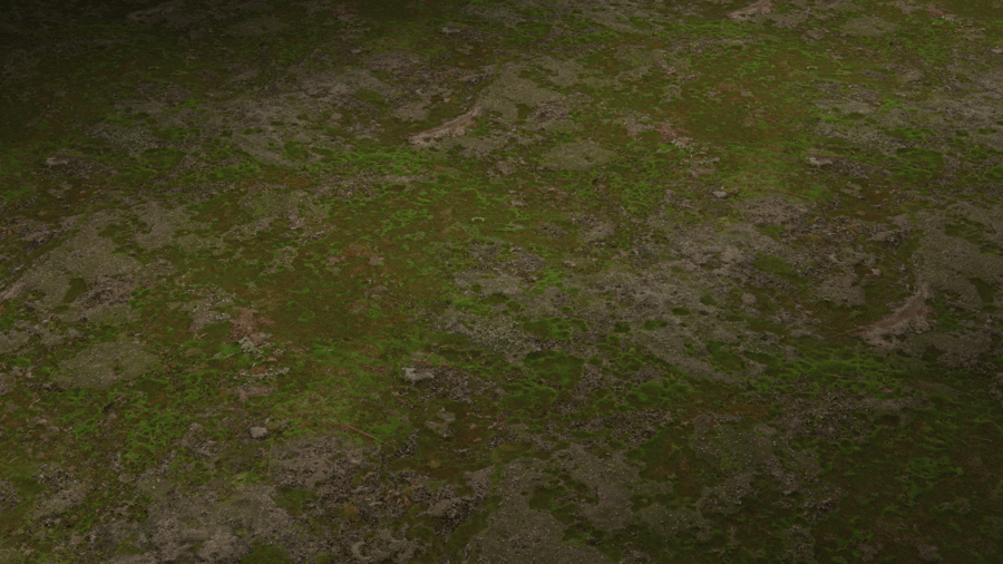Patchy Moss Grass PBR Texture - A23D