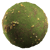 Grass - A23D