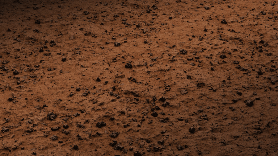 Mud Surface PBR Texture - A23D