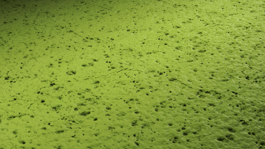 Guava PBR Texture - A23D