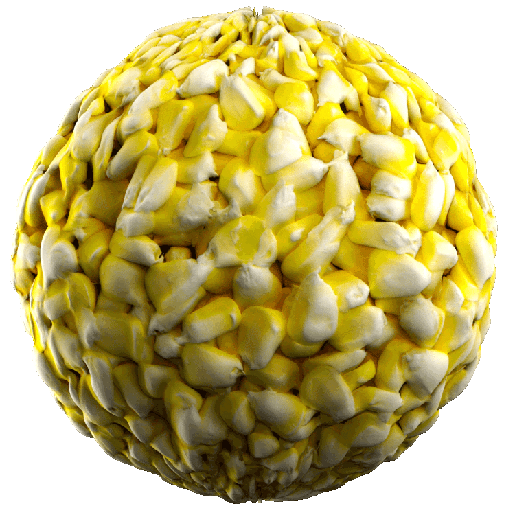 Corn Kernels PBR Texture - A23D