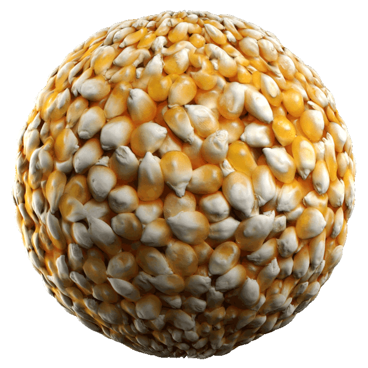 Corn Kernels PBR Texture - A23D