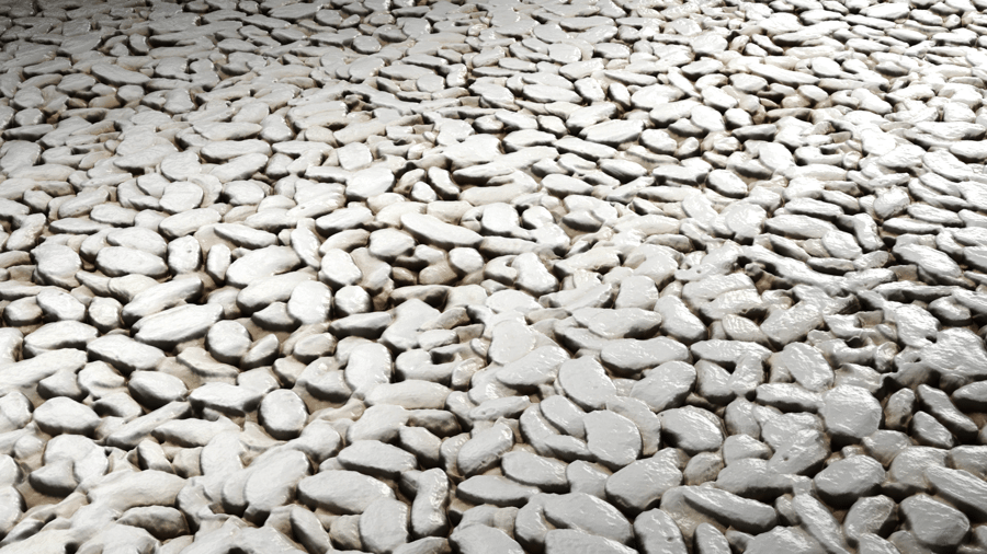 White Beans PBR Texture - A23D