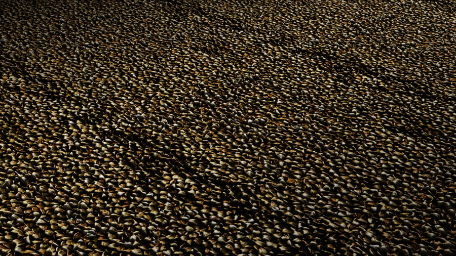 Seeds PBR Texture - A23D