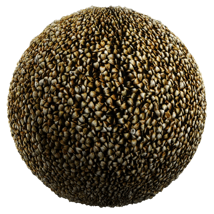 Seeds PBR Texture - A23D