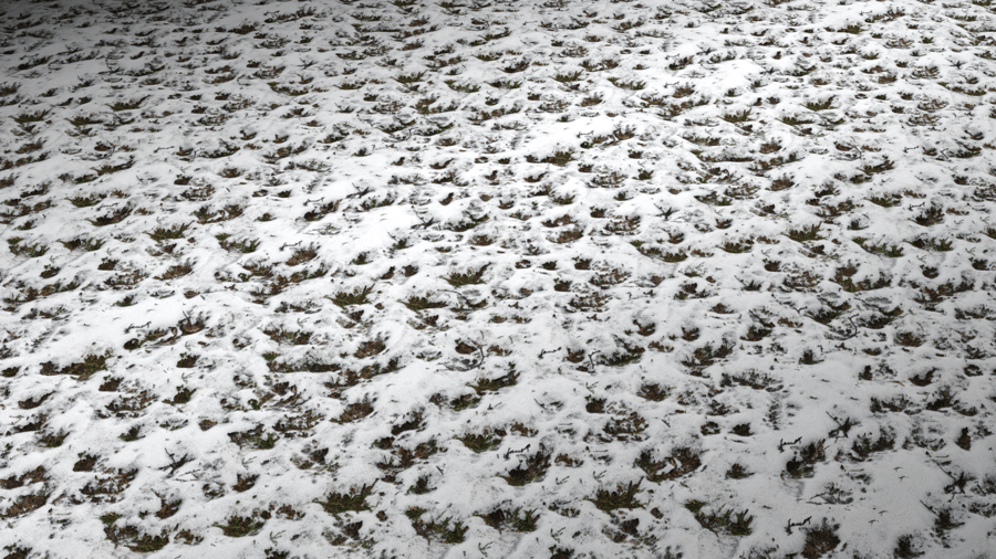 Snow Surface PBR Texture - A23D