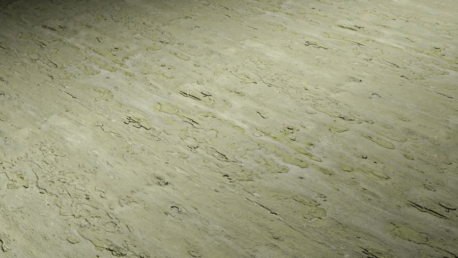 Tree Bark PBR Texture - A23D