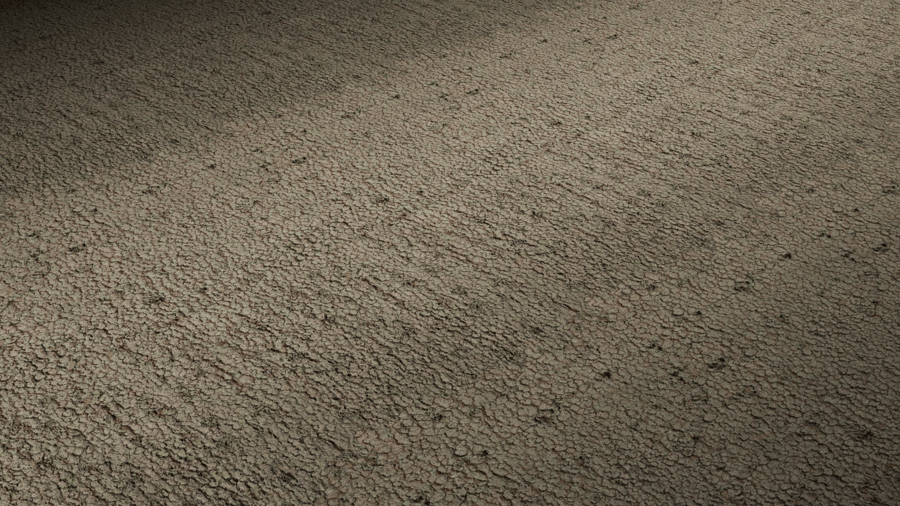 Tree Bark PBR Texture - A23D
