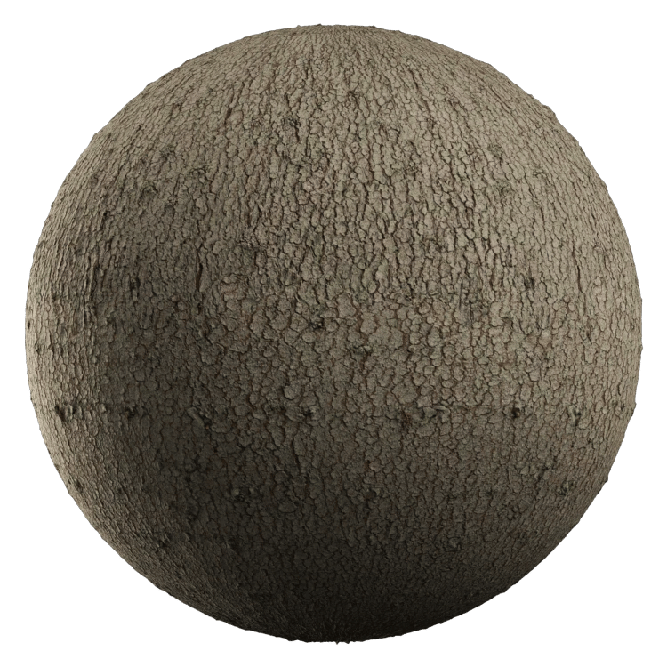 Tree Bark PBR Texture - A23D