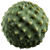 Vegetation - A23D