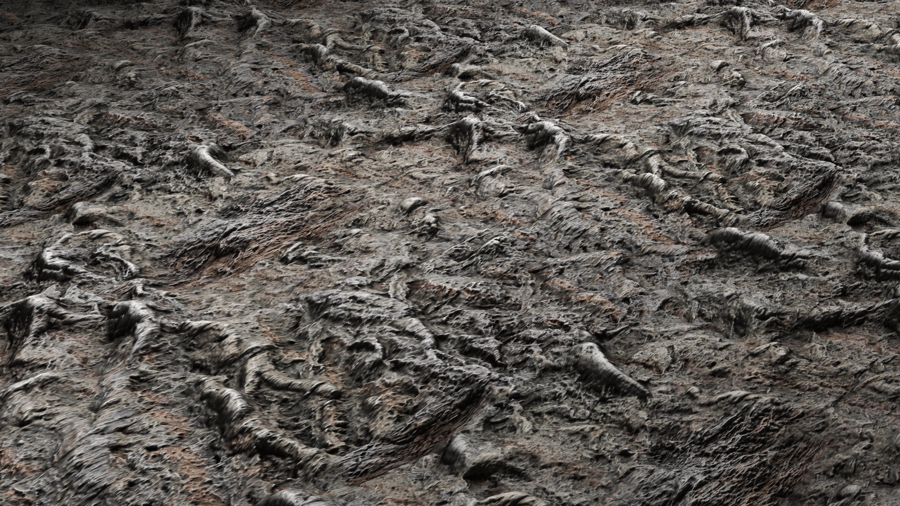 Japanese Maple Bark PBR Texture - A23D