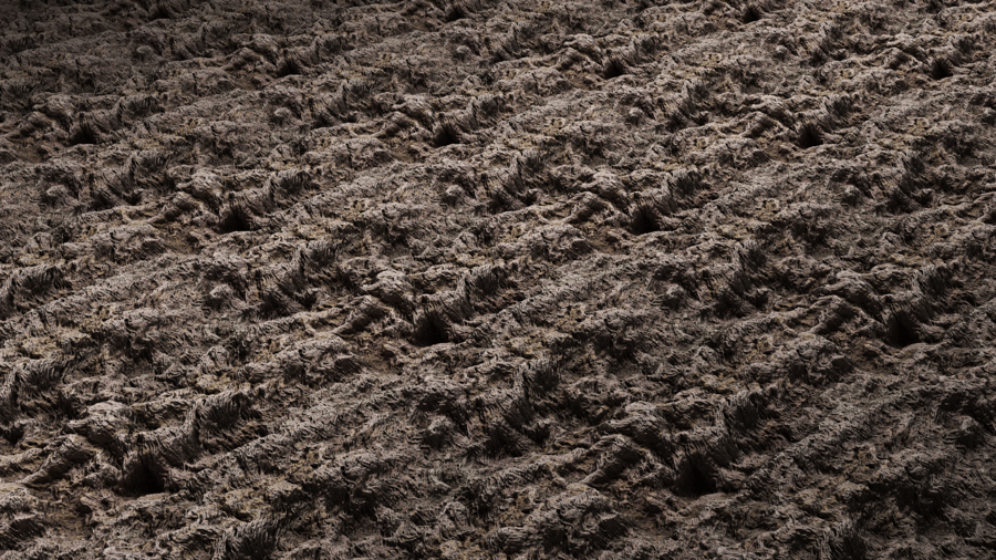 Joshua Tree Bark PBR Texture - A23D